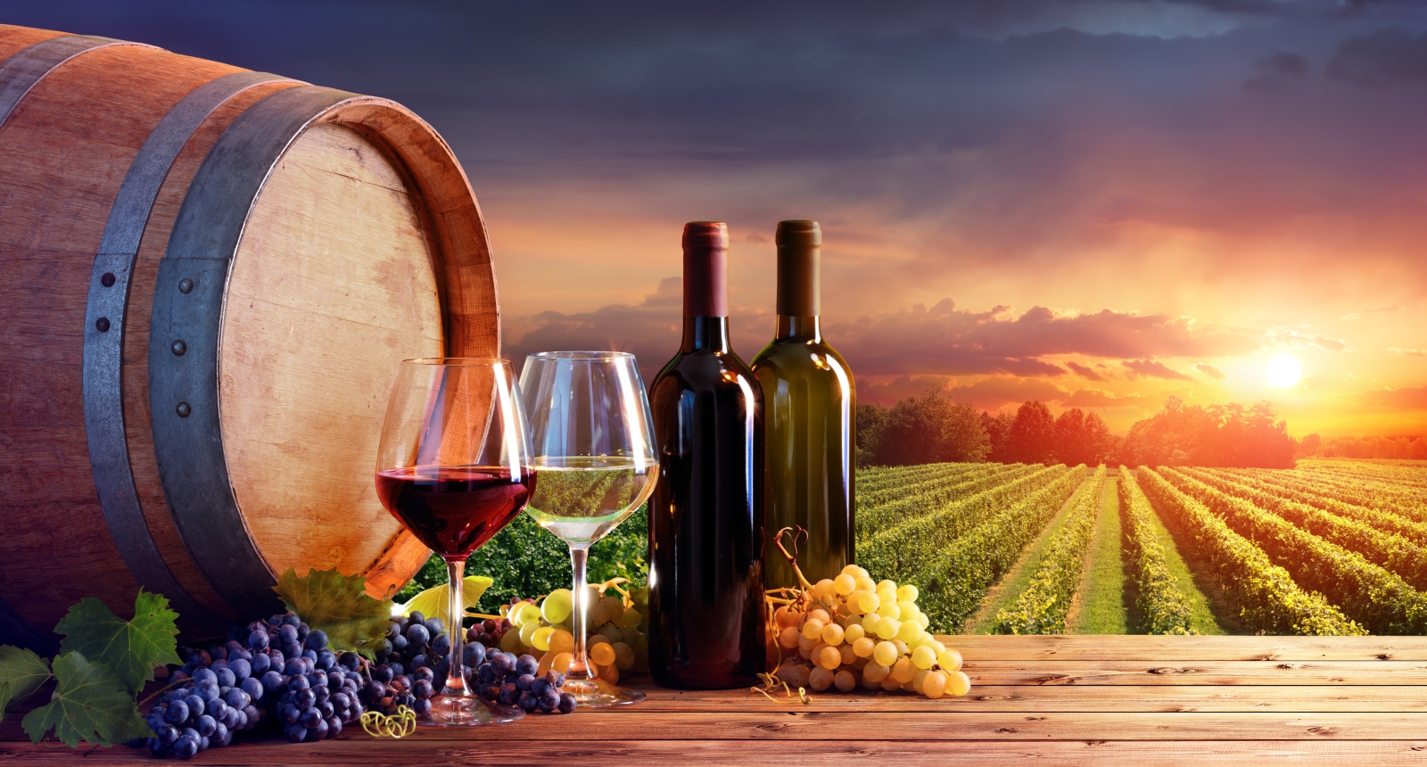Top 3 des salons du vin en France