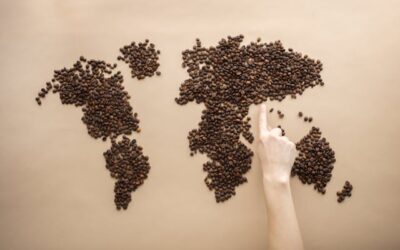 Découverte des meilleures origines de café du monde