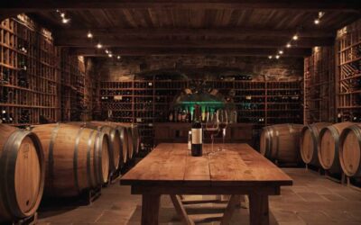 Comment entretenir sa cave a vin professionnelle ?